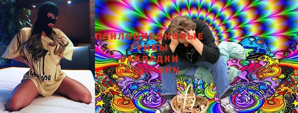 прущие грибы Алексин
