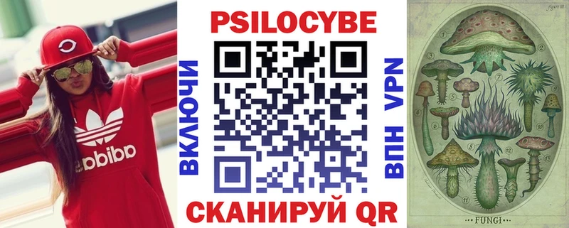 даркнет наркотические препараты Майкоп Галлюциногенные грибы Psilocybine cubensis МЕГА зеркало