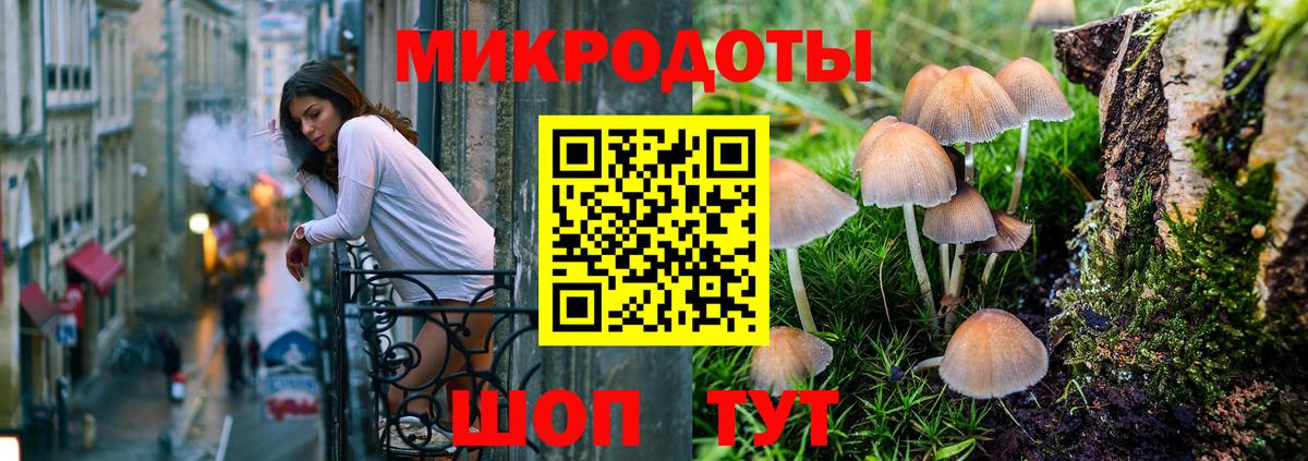 Майкоп  Псилоцибиновые грибы мицелий  Вход с VPN 